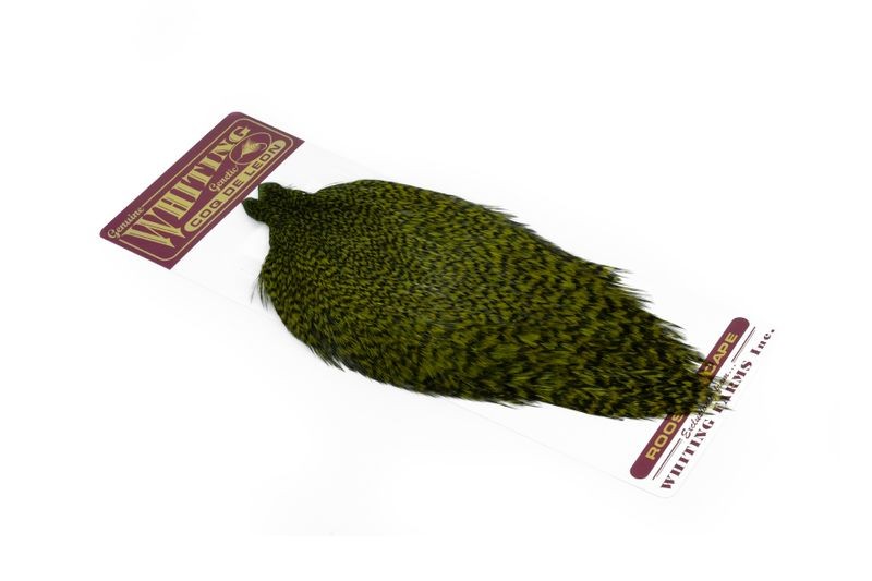 Whiting Farms Rooster Coq de Leon Cape - Photo 36/40