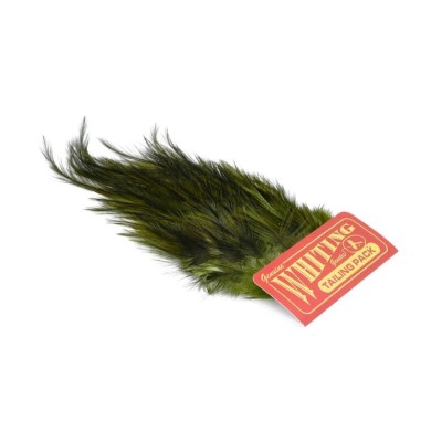Pardo dyed Olive