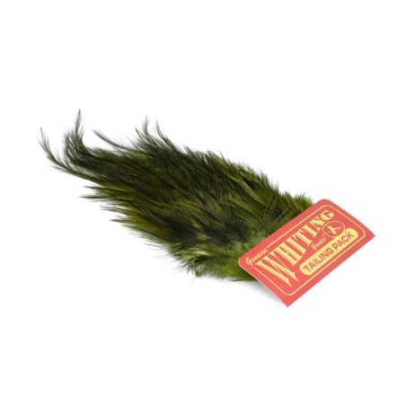 Pardo dyed Olive