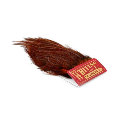 Pardo dyed Orange