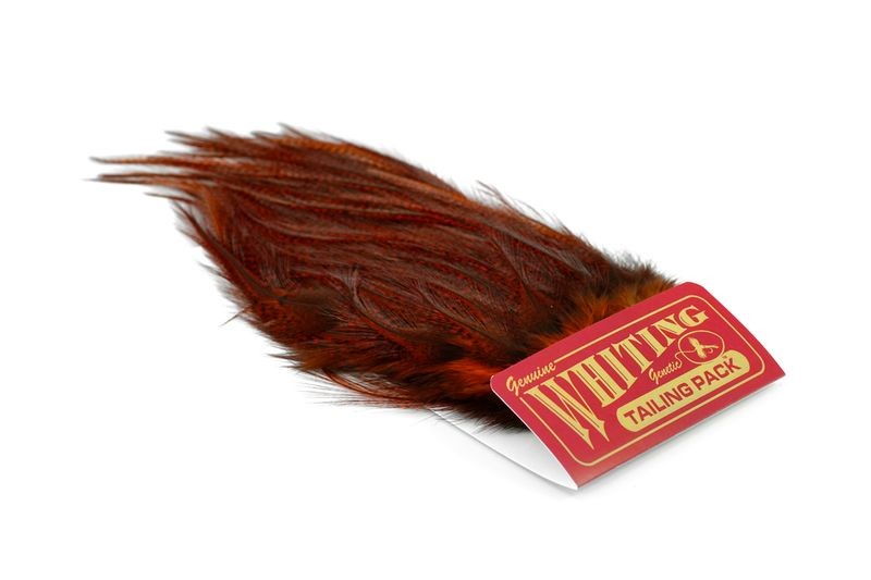 Whiting Farms Coq de Leon Euro Nymph Tailing Pack - Imagen 14 de 19