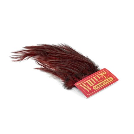 Pardo dyed Red