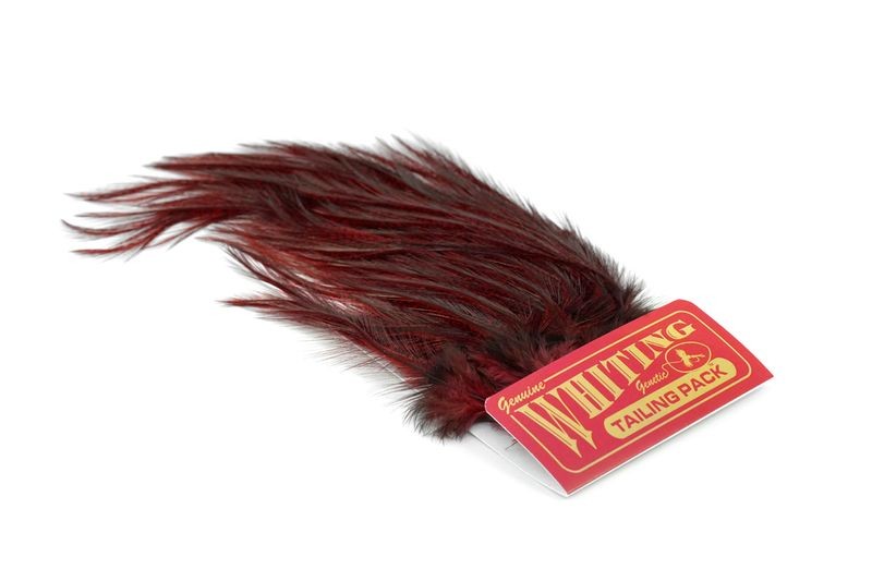 Whiting Farms Coq de Leon Euro Nymph Tailing Pack - Imagen 15 de 19