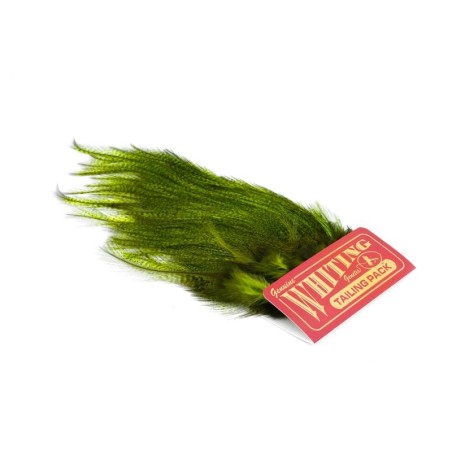Pardo dyed Fl Green Chartreuse