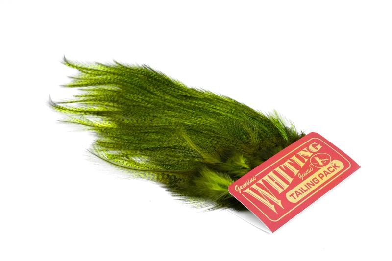 Whiting Farms Coq de Leon Euro Nymph Tailing Pack - Imagen 16 de 19