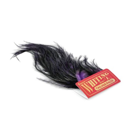 Pardo dyed Purple