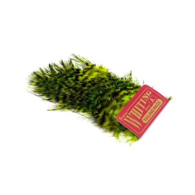 Carta Grizzly teñida Fl Grn