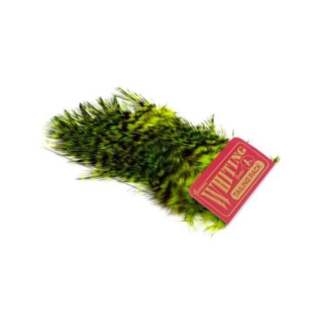 Carta Grizzly teñida Fl Grn