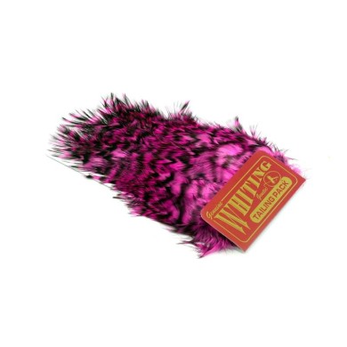 Grizzly teñido de rosa