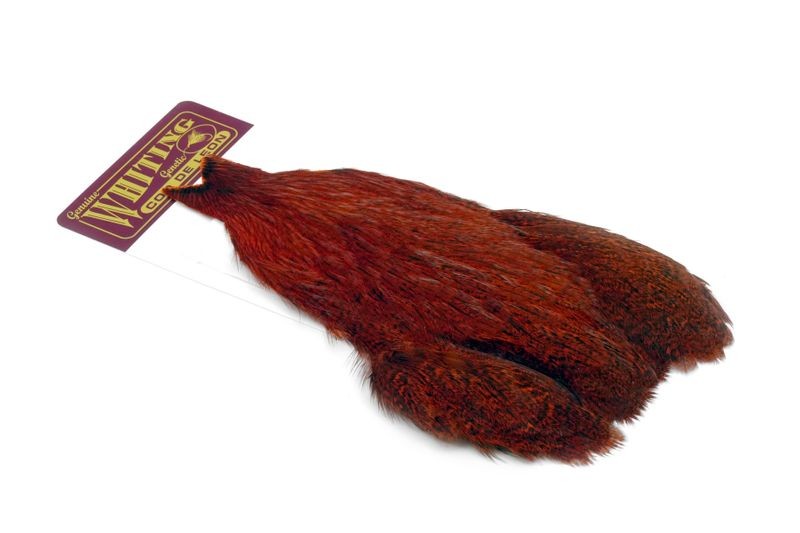 Whiting Farms Coq de Leon Hen Cape - Imagen 37 de 40
