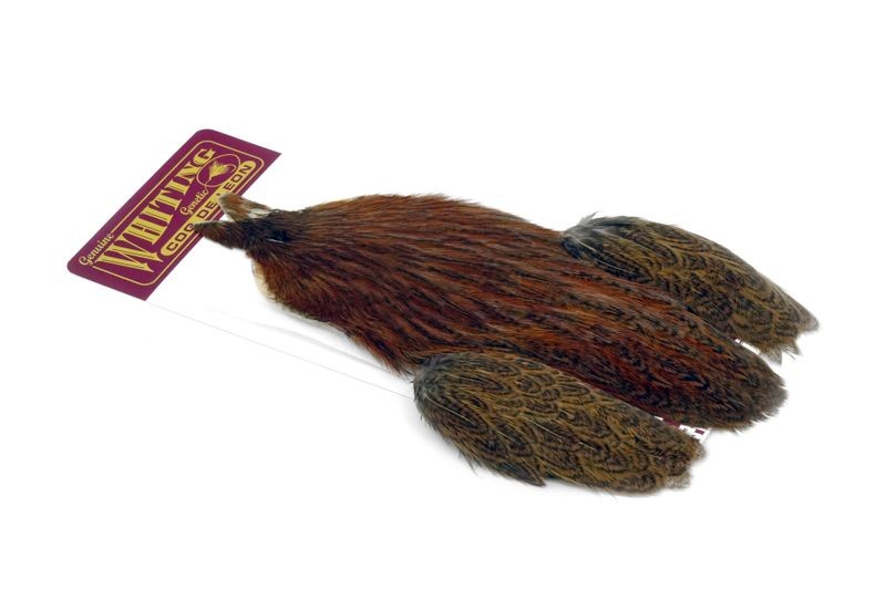 Whiting Farms Coq de Leon Hen Cape - Imagen 38 de 40