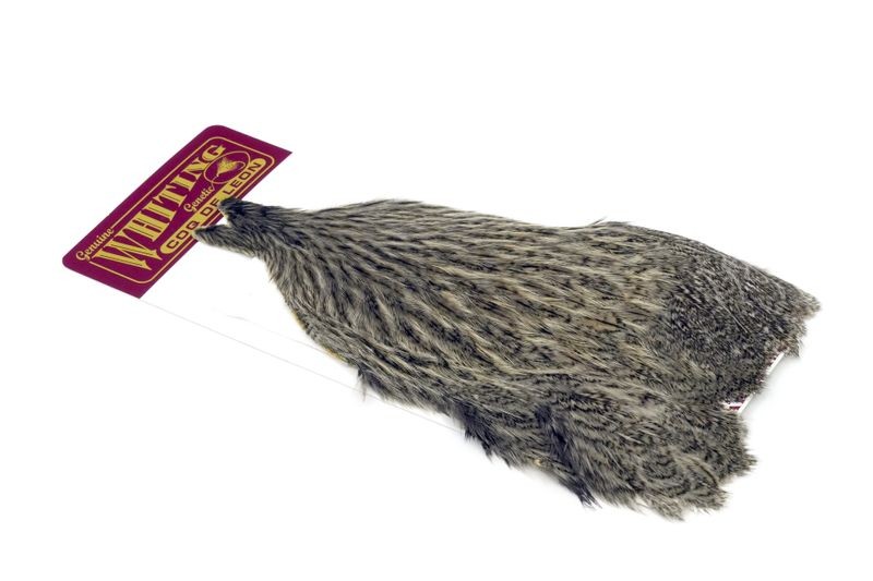 Whiting Farms Coq de Leon Hen Cape - Imagen 39 de 40