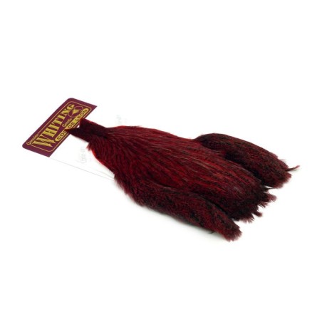 Speckled dyed Red