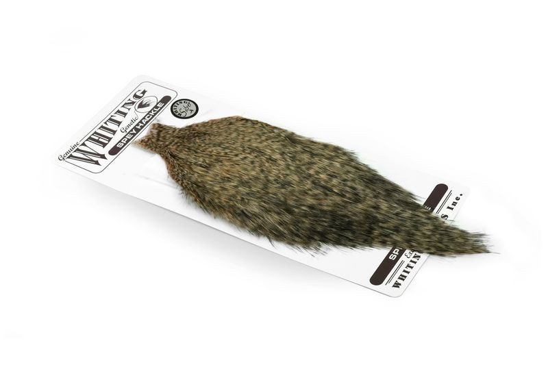 Whiting Farms Spey Hackle Rooster Cape Silver - Picture 9 of 11