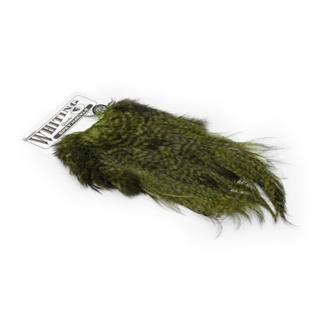 Grizzly teñido de oliva