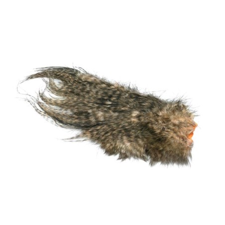 Grizzly dyed Salmon