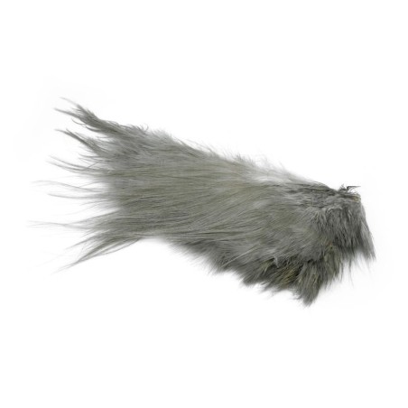 White dyed Dark Dun