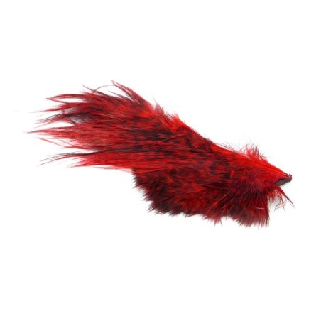 Grizzly dyed Red