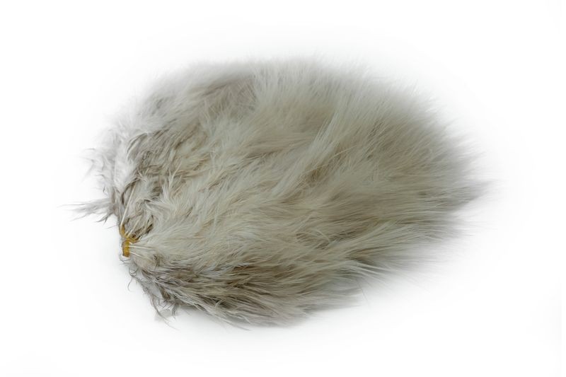 Whiting Farms Super 'Bou - Picture 22 of 25