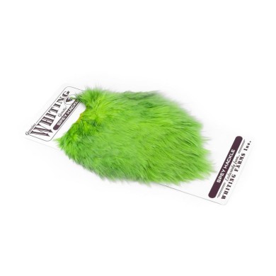 White dyed Insect Green