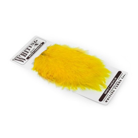 White dyed Yellow