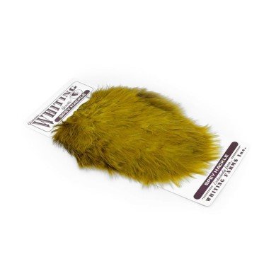White dyed Golden Olive