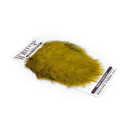 White dyed Golden Olive