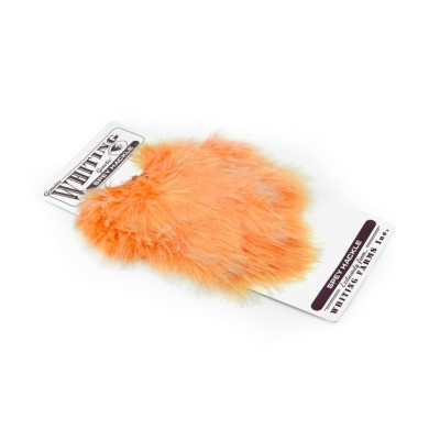 Grizzly dyed Salmon