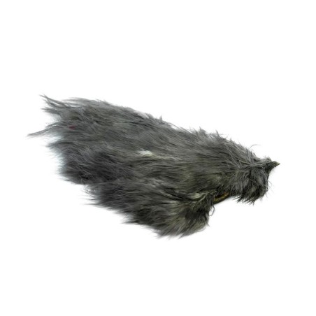 White dyed Dark Dun
