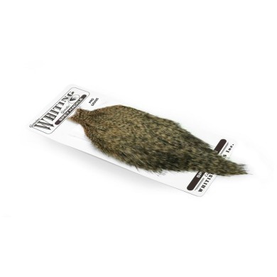 Grizzly dyed Salmon