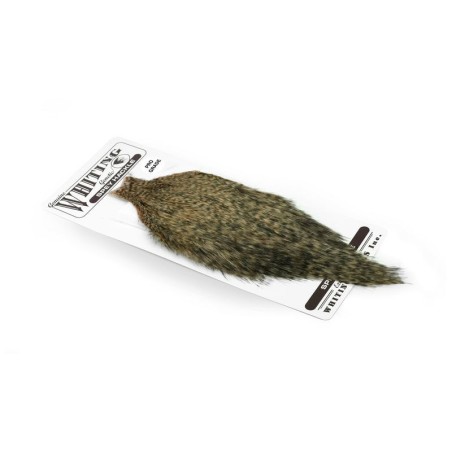 Grizzly dyed Salmon