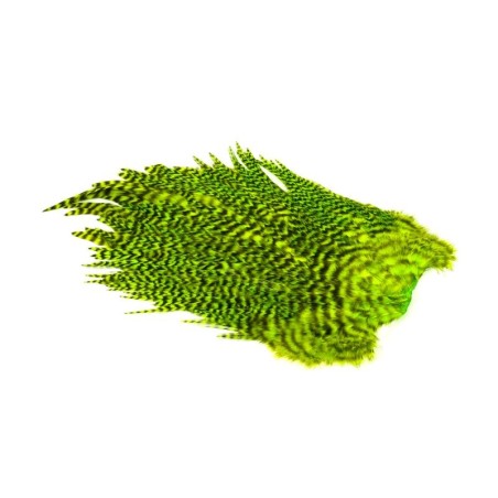 Grizzly dyed Fl Grn Chart