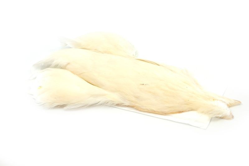 Whiting Farms 4 B's Hen Cape - Imagen 23 de 24