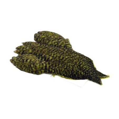 Grizzly dyed Olive
