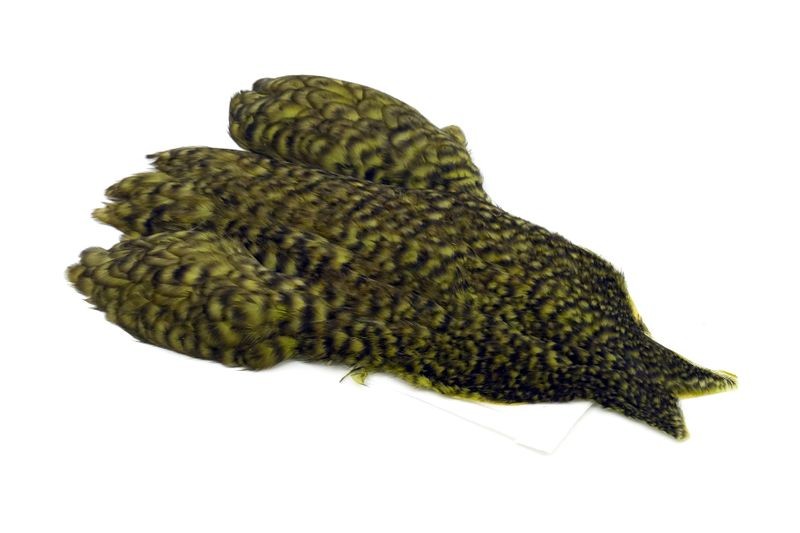 Whiting Farms 4 B's Hen Cape - Imagen 24 de 24