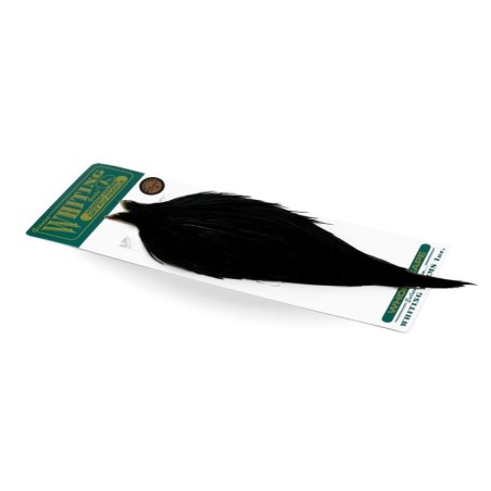 Negro