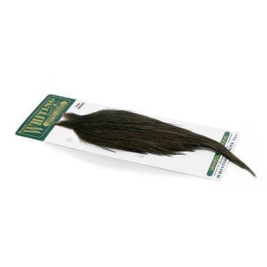 Dark Grey Dun