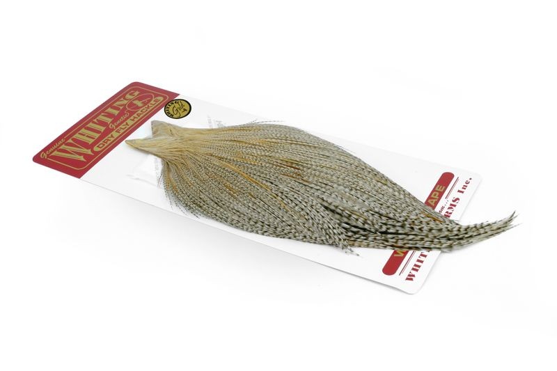 Capa dorada Whiting Farms - Imagen 3 de 14