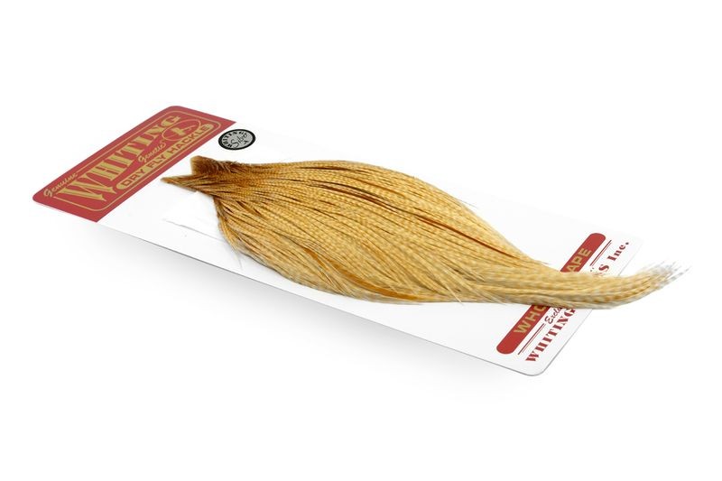 Capa dorada Whiting Farms - Imagen 6 de 14
