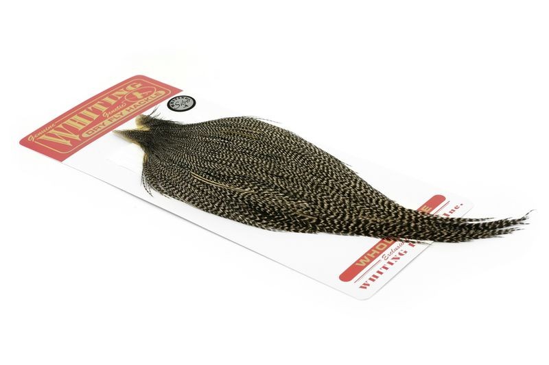 Capa dorada Whiting Farms - Imagen 8 de 14