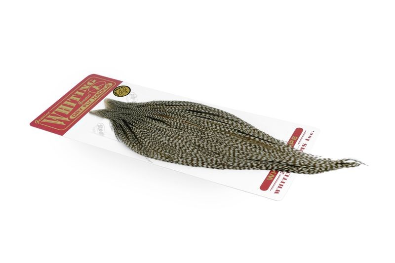 Capa dorada Whiting Farms - Imagen 9 de 14
