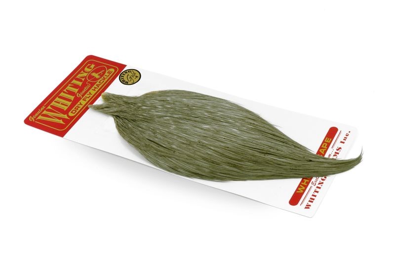 Capa dorada Whiting Farms - Imagen 10 de 14