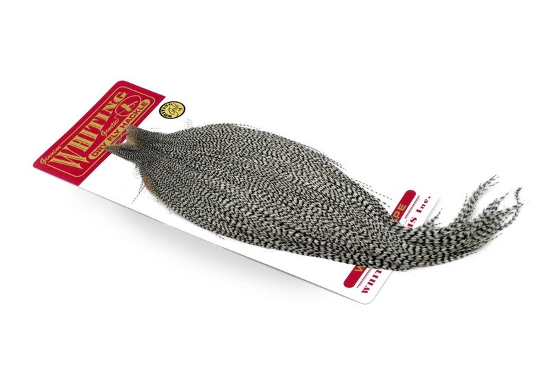 Capa dorada Whiting Farms - Imagen 11 de 14