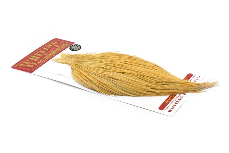 Whiting Farms Gold Cape - Imagen 12 de 14
