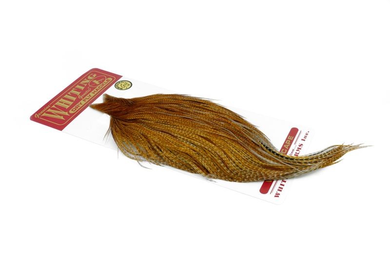 Capa dorada Whiting Farms - Imagen 13 de 14