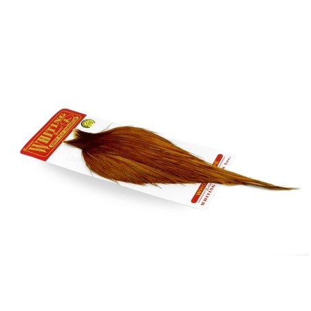 Medium Ginger