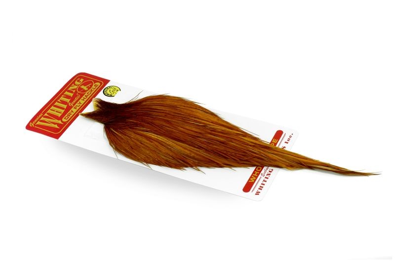 Capa dorada Whiting Farms - Imagen 14 de 14
