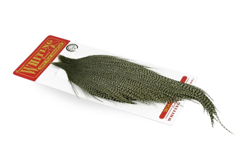 Whiting Farms Rooster Silver Cape - Imagen 35 de 52