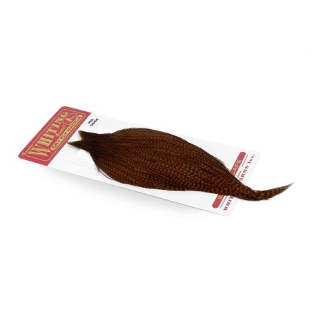 Grizzly dyed Brown