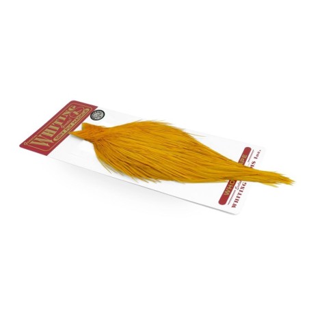 White dyed Golden Straw